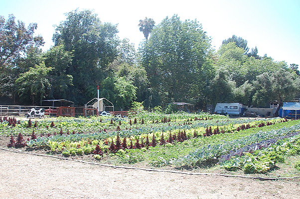 DSC 0504