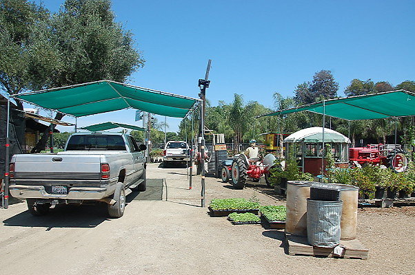 DSC 0524