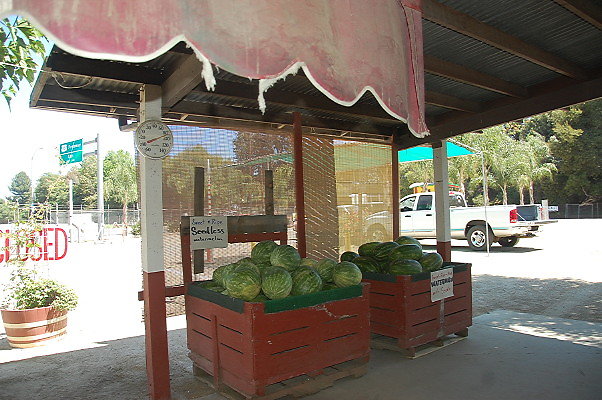 DSC 0502