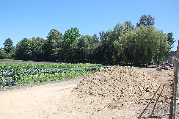 DSC 0534