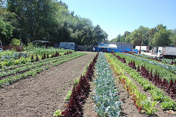 DSC 0506