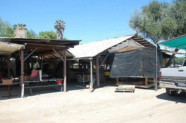DSC 0523
