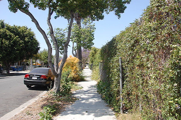 DSC 0464