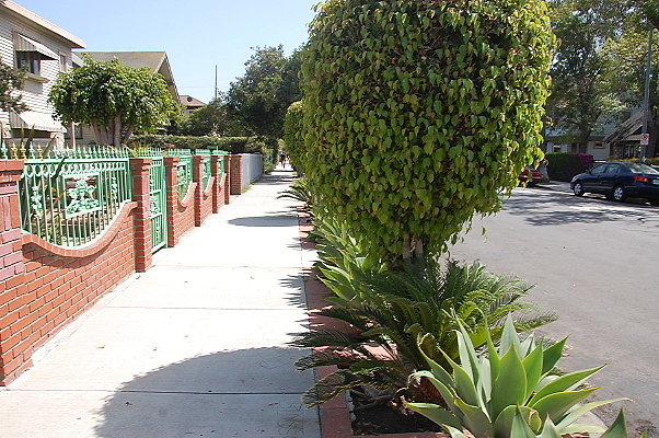 DSC 0465