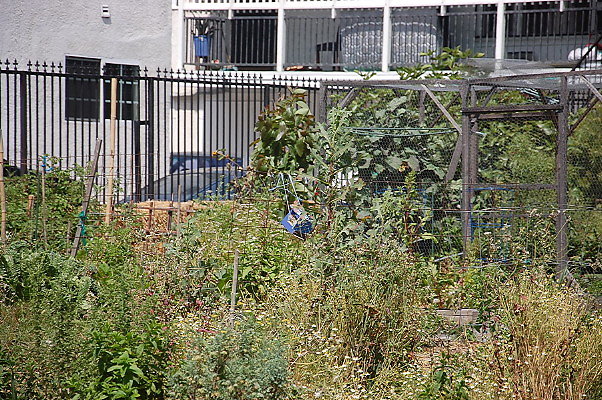 DSC 0461