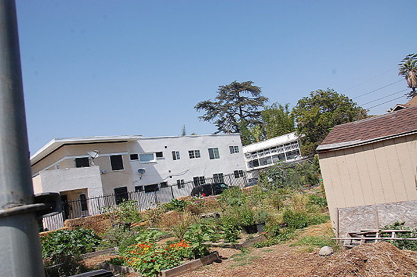 DSC 0463