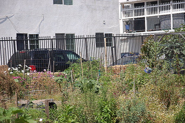 DSC 0456