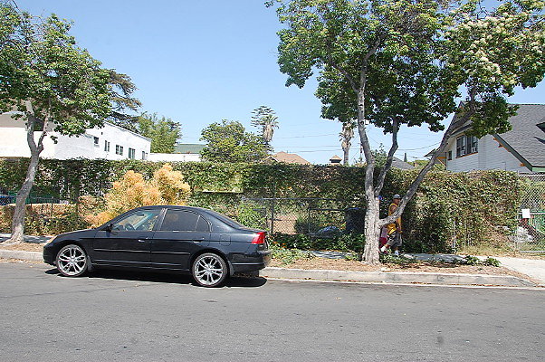 DSC 0446