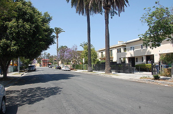 DSC 0445