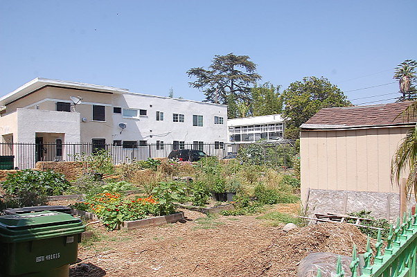 DSC 0452