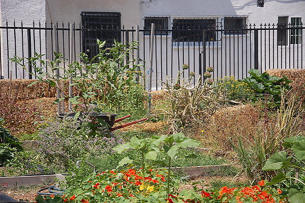 DSC 0454