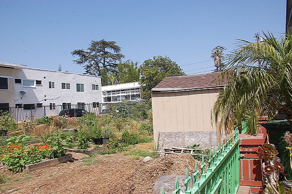 DSC 0453