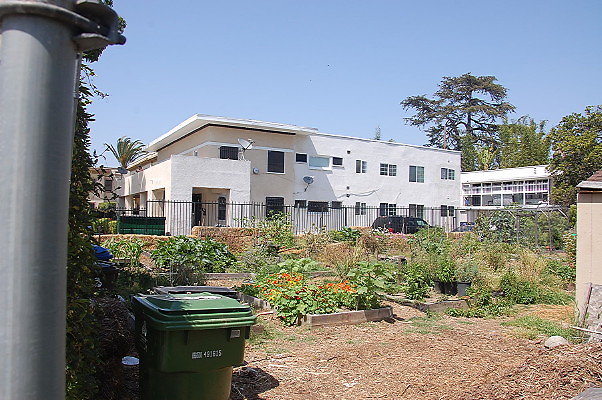 DSC 0451