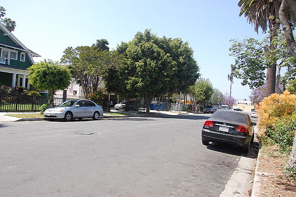 DSC 0468