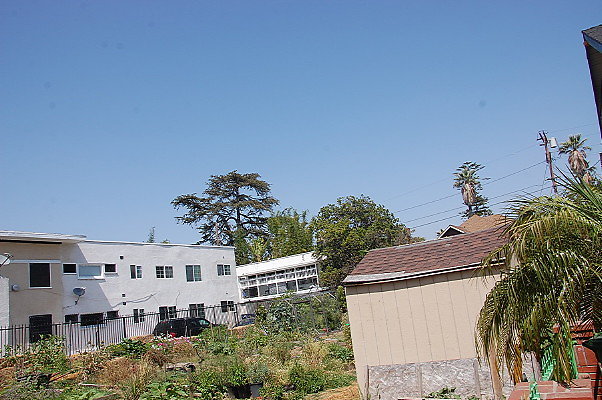 DSC 0462