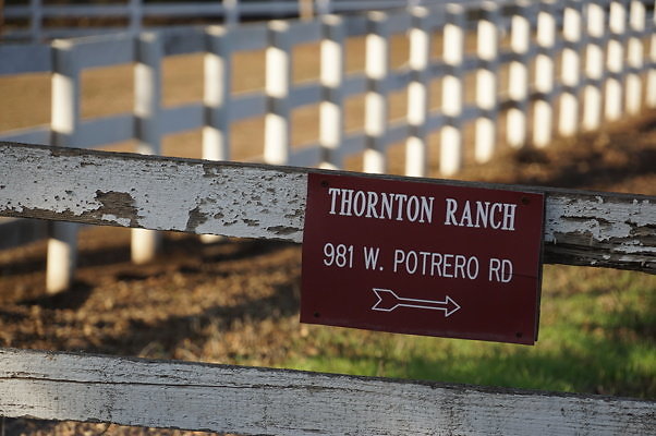 Thorton Ranch.Ven.Farms
