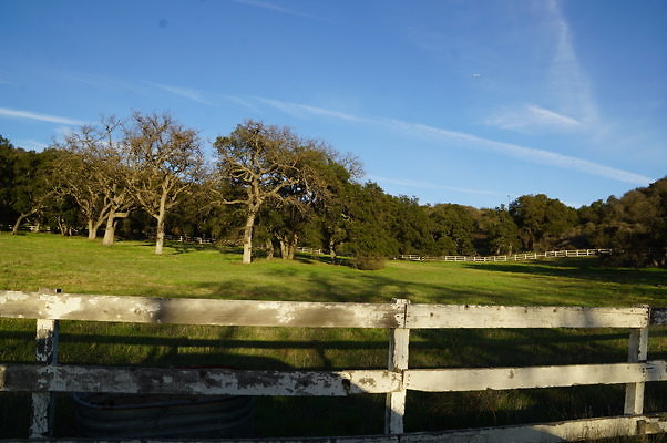 Corral Behind Thorton Ranch.23