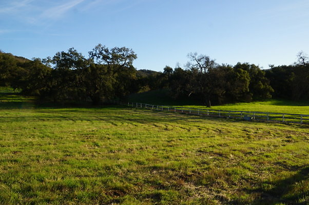 Corral Behind Thorton Ranch.15