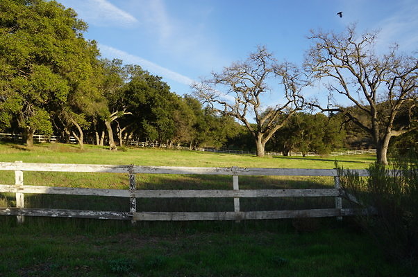 Corral Behind Thorton Ranch.02