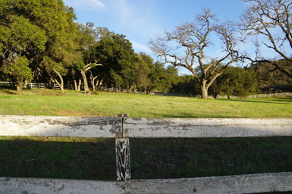 Corral Behind Thorton Ranch.05