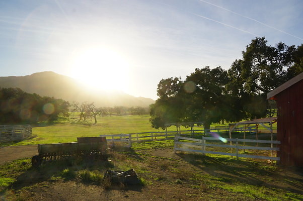 Corral Behind Thorton Ranch.17