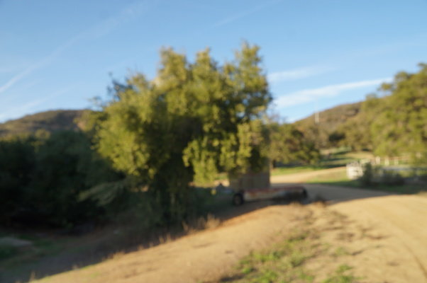 Corral Behind Thorton Ranch.20