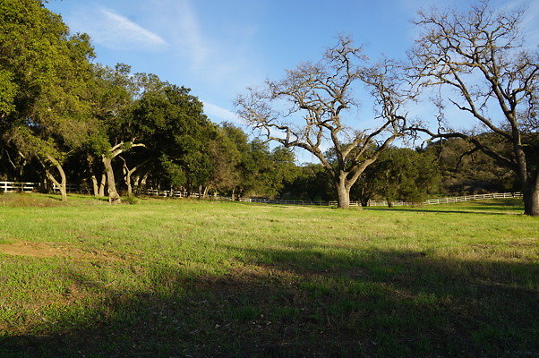 Corral Behind Thorton Ranch.08