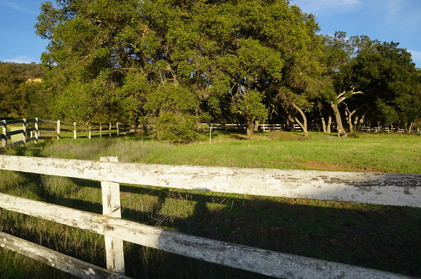 Corral Behind Thorton Ranch.04