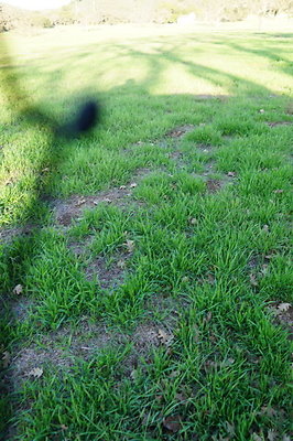 Road To Thorton Ranch.13 Road To Thorton Ranch.13