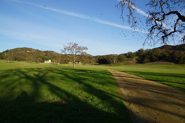 Road To Thorton Ranch.02 Road To Thorton Ranch.02