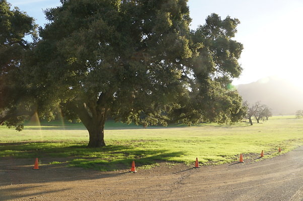 Thorton Ranch.Barn.10