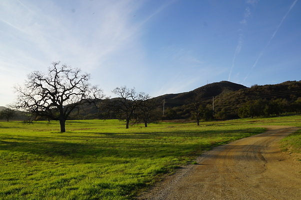 Thorton Ranch.Barn.03