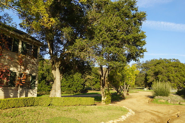 Thorton Ranch.Barn.07