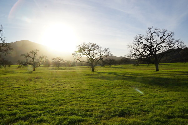 Thorton Ranch.Barn.02