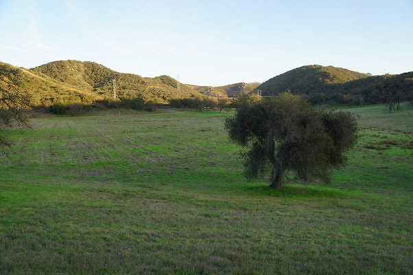 Ventura Farms