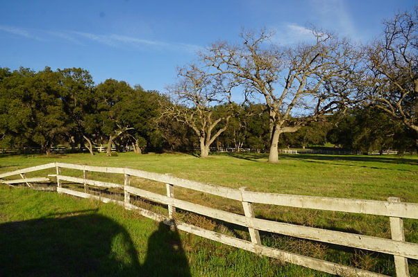 Corral Behind Thorton Ranch.10