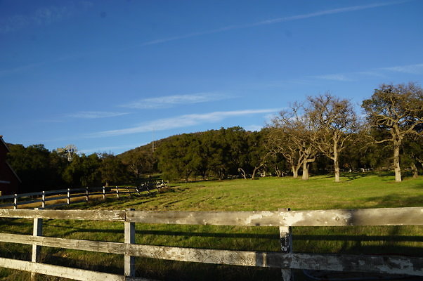 Corral Behind Thorton Ranch.22