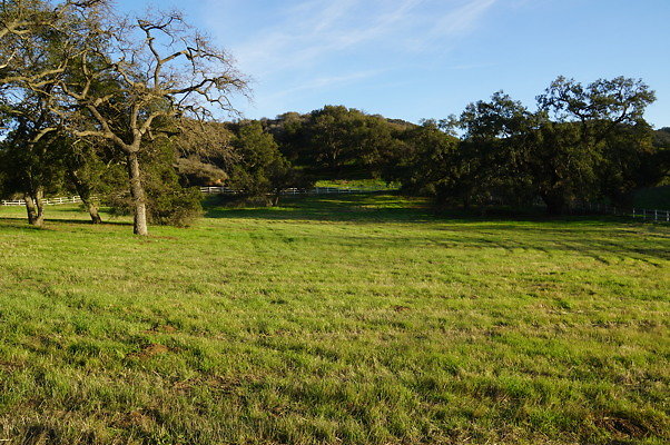 Corral Behind Thorton Ranch.14