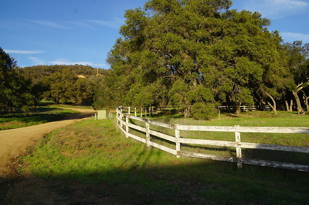 Corral Behind Thorton Barn