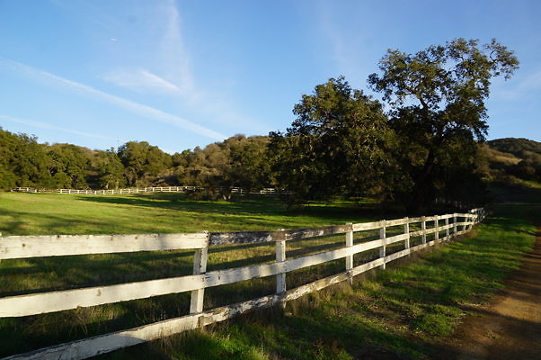 Corral Behind Thorton Ranch.24