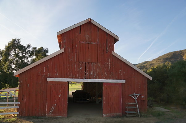 Corral Behind Thorton Ranch.19