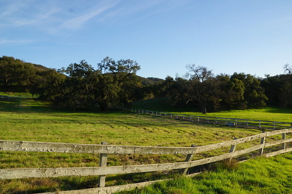 Corral Behind Thorton Ranch.12