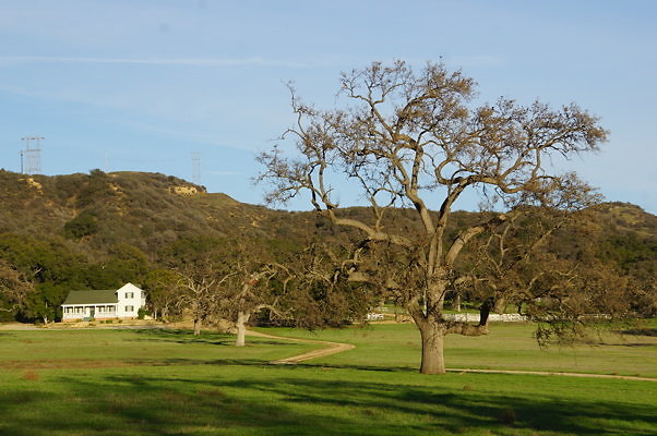 Road To Thorton Ranch.10