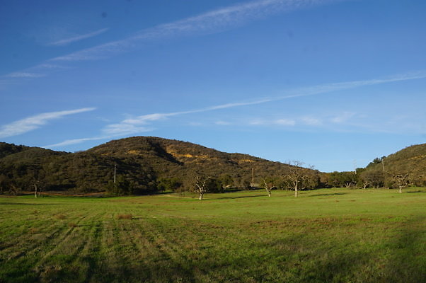 Road To Thorton Ranch.15