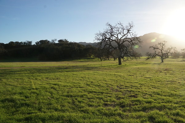 Thorton Ranch.House.Barn