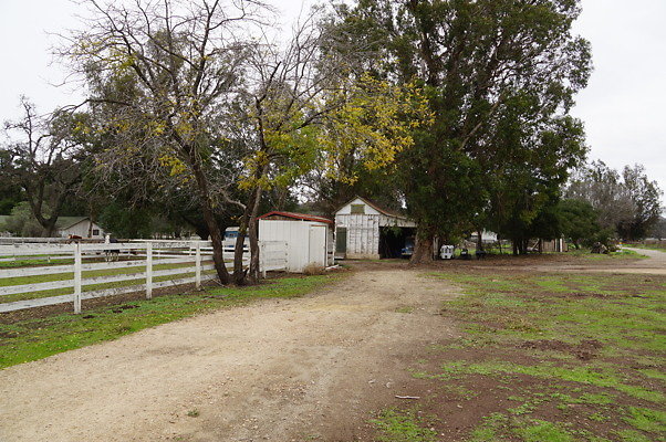 DSC07432