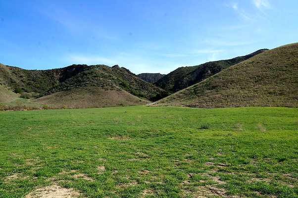 DSC01335