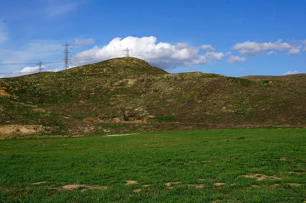 DSC01309