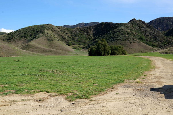DSC01313