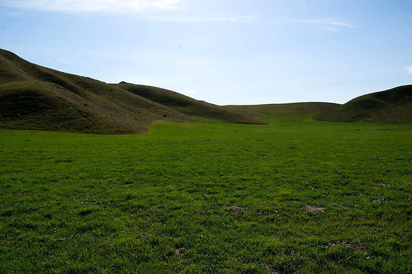 DSC01295